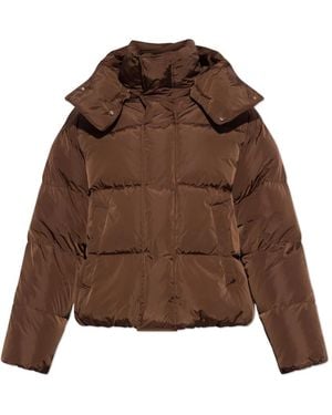 DSquared² Jassen ,Bruin ,Gewatteerd Jack Met Afneembare Capuchon