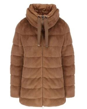 Herno Winter Jackets - Marrón