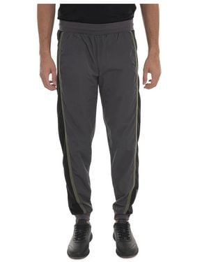 EA7 Color Block Jogger Broek - Grijs