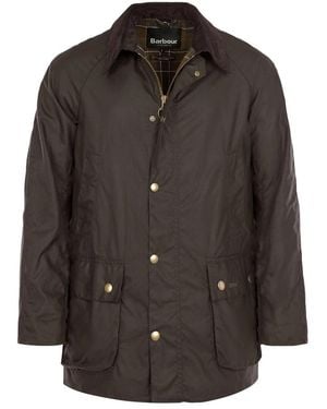 Barbour Light Jackets - Marrón