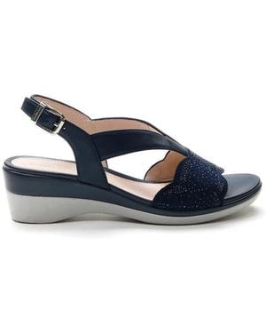 Stonefly Wedges - Bleu