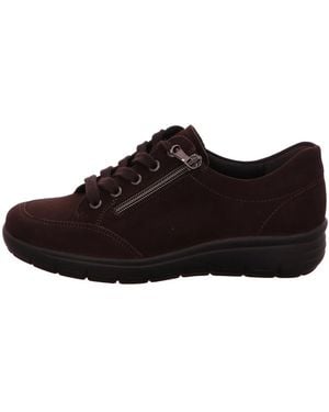 Semler Sneakers - Braun