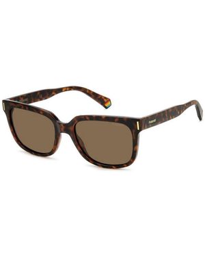 Polaroid Sunglasses - Marrone