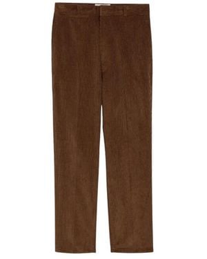 Ami Paris Karotten-Passform Cordhose Aus Baumwolle - Braun