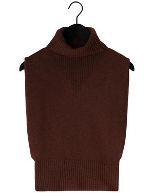 ROUGE EDIT Truien & Vesten ,Bruin ,Wol Roucleo Roll Neck Knit West