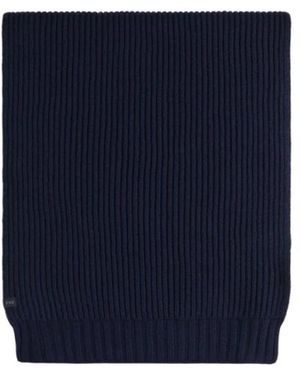 Fay Winter Scarves - Azul