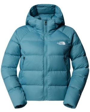 The North Face Winter Jackets - Bleu
