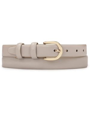 Kazar Belts - Gris