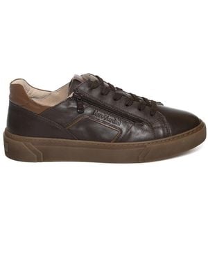 Nero Giardini Perseo Sneakers - Braun