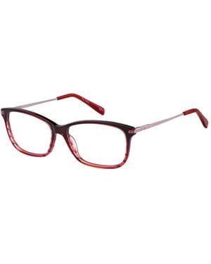 Pierre Cardin Glasses - Marrón