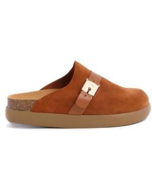 Scholl Ivy Clogs Mit Schnalle - Braun