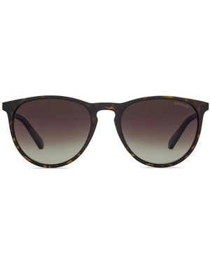 Polaroid Pld-6003/N/S-V08 Sonnenbrille - Braun