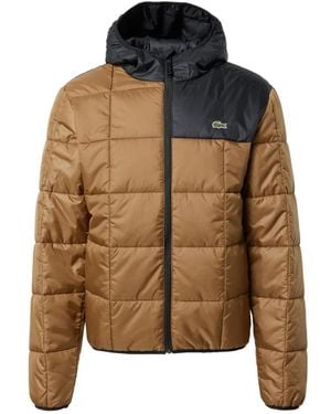 Lacoste Down Jackets - Brown