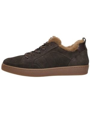 Gabor Sneakers - Marron
