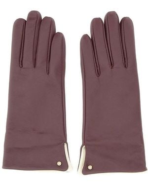 Gianni Chiarini Gloves - Purple