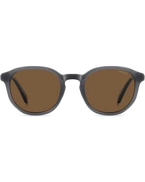 Polaroid Sunglasses - Brown