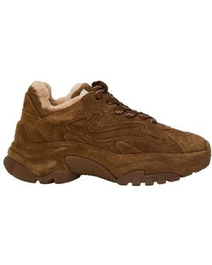 Ash Addict Bis Fur Sneakers - Braun
