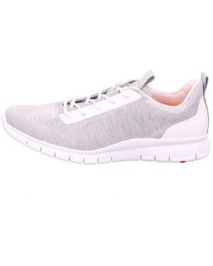 Lloyd Sneaker - Paars