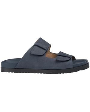 Doucal's Sliders - Blue