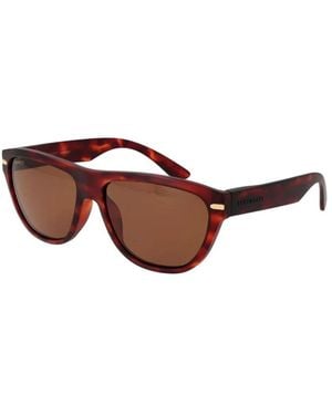 Serengeti Sunglasses - Brown