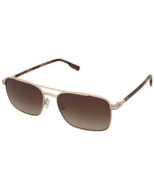 Lacoste Sunglasses - Brown