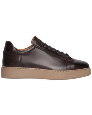 Exton Laced Shoes - Bruin