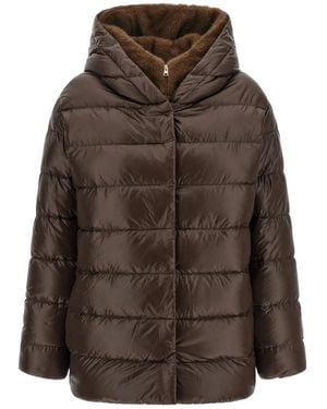 Herno Down Jackets - Marrón
