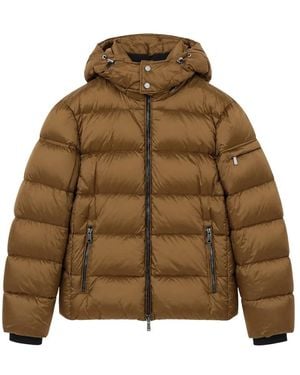 Moorer Brett-Sh Jacket - Groen