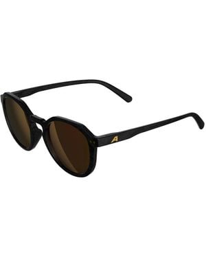 Alpina Sunglasses - Brown
