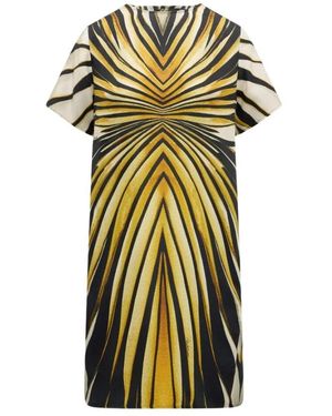 Roberto Cavalli Ray Of Print Seiden-Minikleid - Grün