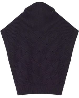 Lanvin Turtlenecks - Blauw