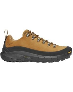 Danner Fitness ,Bruin ,Leer Mtn 45 Low Gtx