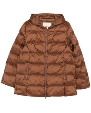 Max Mara Winter Jackets - Marron