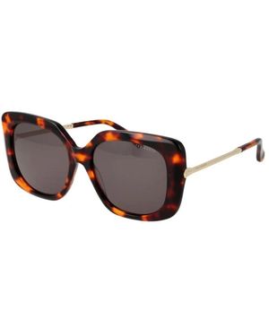 Ted Baker Sunglasses - Marrone