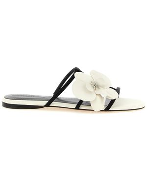 Zimmermann Sliders - Multicolour