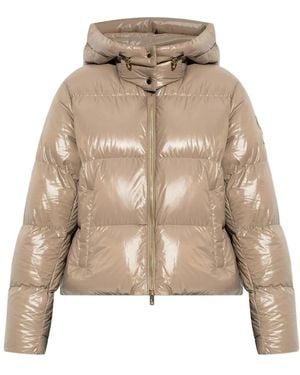 Moose Knuckles Winter Jackets - Neutro