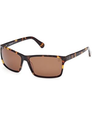 Timberland Sunglasses - Brown