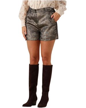 Freebird by Steven Lola Short Shorts - Grijs