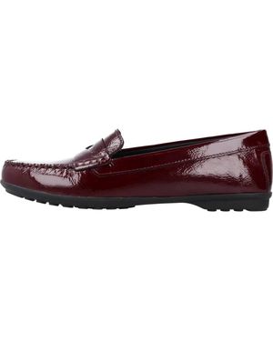 Geox Loafers - Marrone