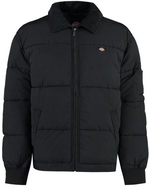 Dickies Winter Jackets - Black