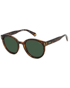 Polaroid Sunglasses - Green