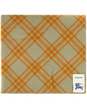 Burberry Winter Scarves - Metallic