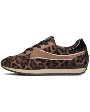 Softwaves Niedrige Sneakers Mit Leopardenmuster - Braun