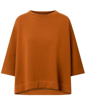 Windsor. Blouses - Brown