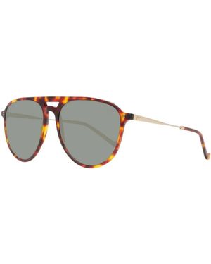 Hackett Braune acetat-sonnenbrille timberland newmarket - Mehrfarbig