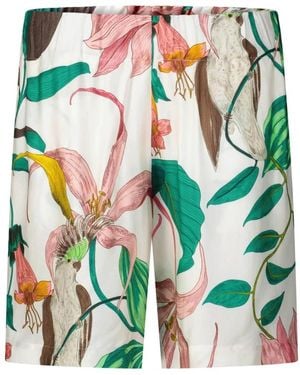 Lavi Casual Shorts - Verde