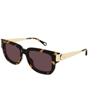 Chloé Sunglasses - Brown
