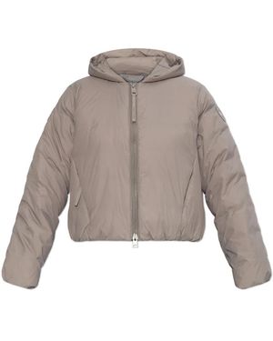 Canada Goose Down Jackets - Gris