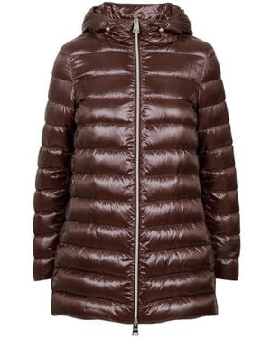 Herno Winter Jackets - Brown