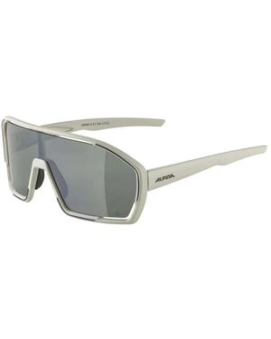 Alpina Ski Accessories - Grigio